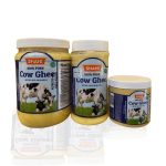 Shahi Cow Ghee-8oz